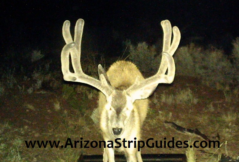 The Arizona Strip Guides Blog