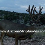 outfitters for trophy mule deer