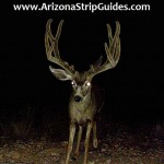 outfitters for trophy mule deer